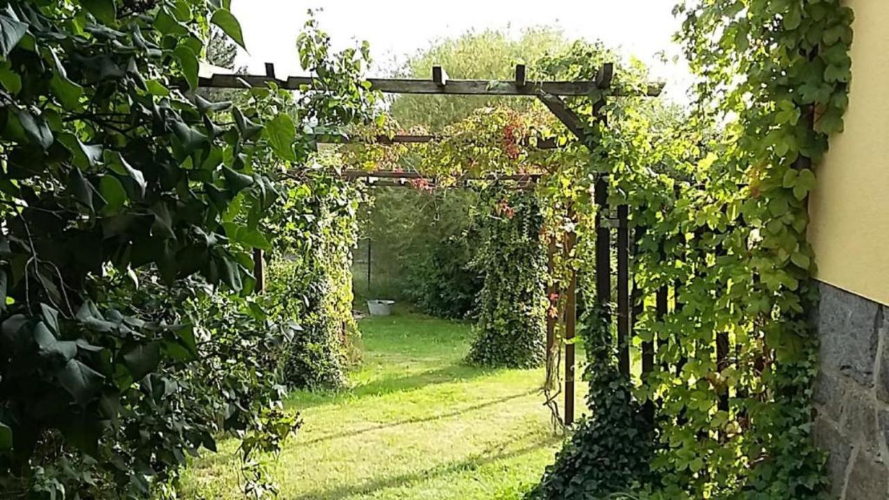 Genesungsort Landhaus Dammert Oppach Εξωτερικό φωτογραφία