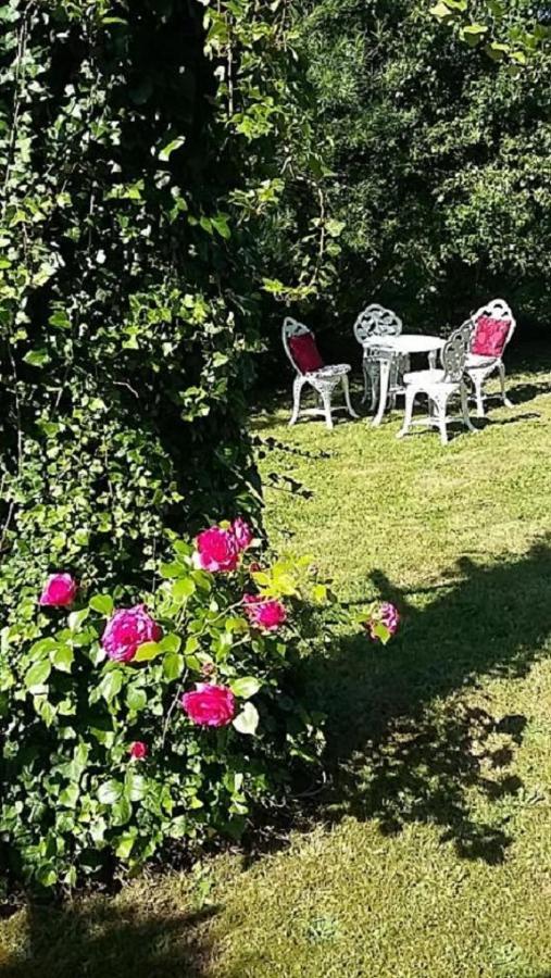Genesungsort Landhaus Dammert Oppach Εξωτερικό φωτογραφία